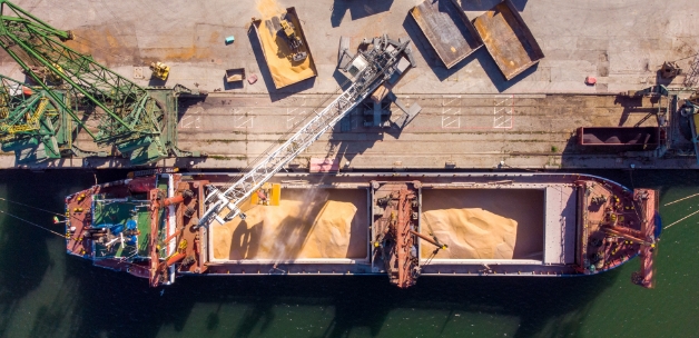 Industriehafen mit einem Frachtschiff, das mit Getreide beladen wird, zur Veranschaulichung des Transports und Umschlags von Agrarrohstoffen.